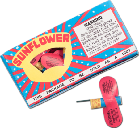 Sunflower Small Box of 12